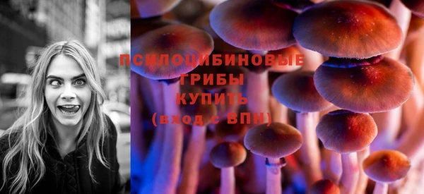 PSILOCYBIN Алексин