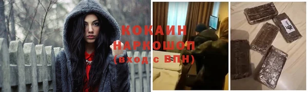 apvp Алзамай